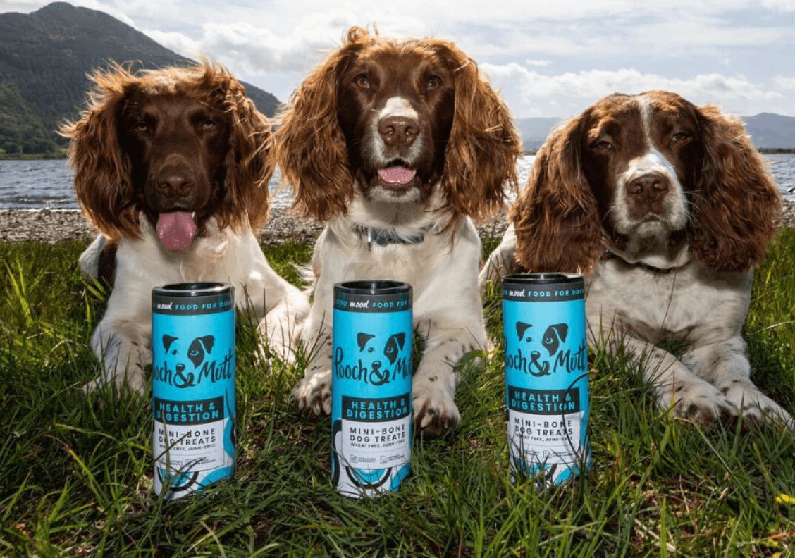 rewards and discounts on Pooch and Mutt